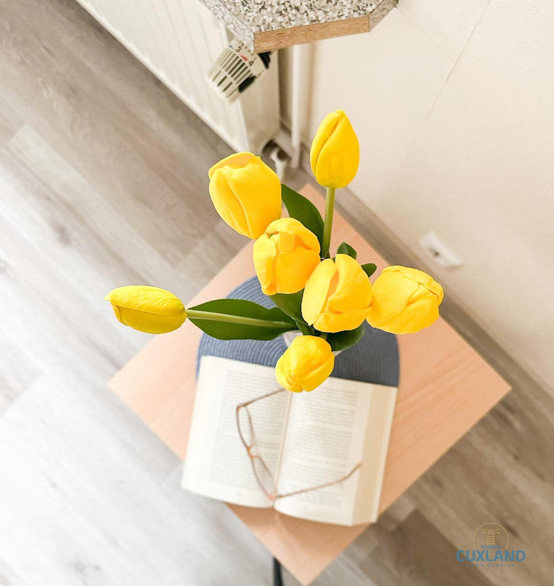Apartment Nahe Kurpark Doese Cuxhaven